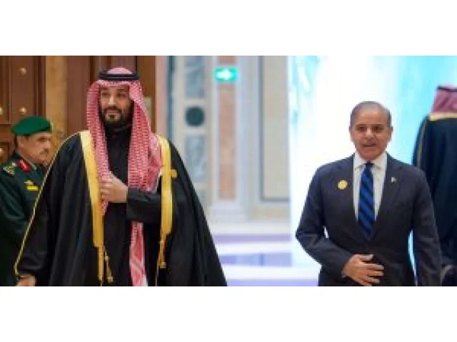 Arabské státy zvažují vlastní verzi NATO. I kvůli pobouření nad kroky Izraele