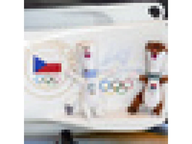 Kampaň Pojď! má pro ZOH spojit české fanoušky, budou mít zázemí v Miláně i Česku