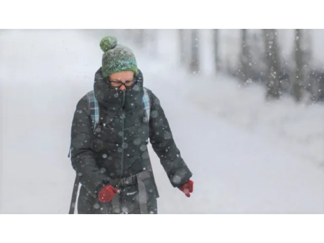V dalším týdnu bude sněžit, uvedla v předpovědi expertka přes počasí