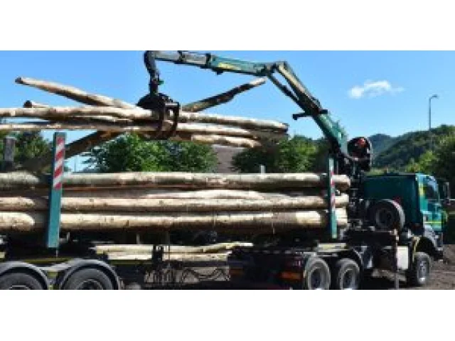 Jak postavit silnici pro kamiony? Řekněte lidem, že je doveze na rychlovlak