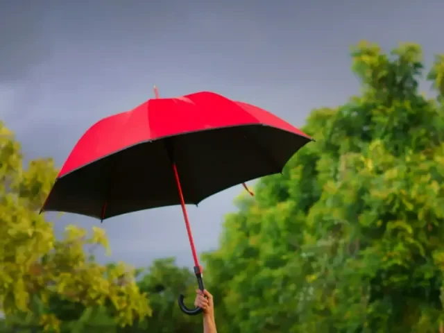Do Česka dorazila studená fronta s deštěm. Víkend však vypadá nadějněji