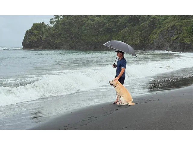 Dan Brown si vezme o 27 let mladší ženu, podle exmanželky byla jeho milenkou