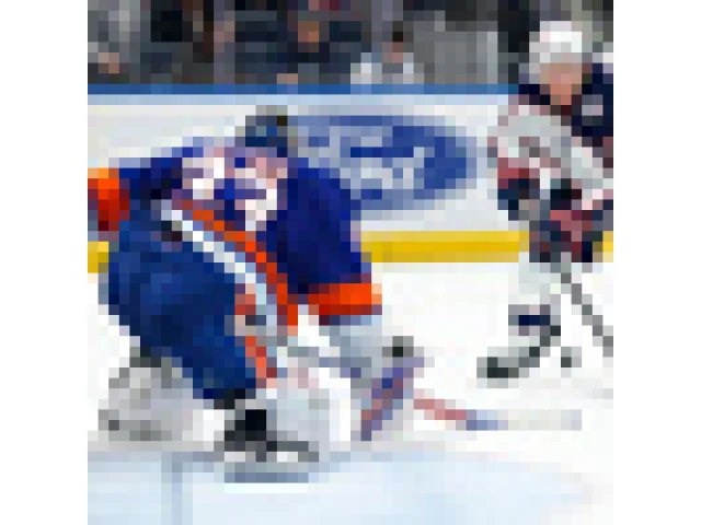 Dostál vychytal vítězství nad New Jersey, radoval se také Rittich