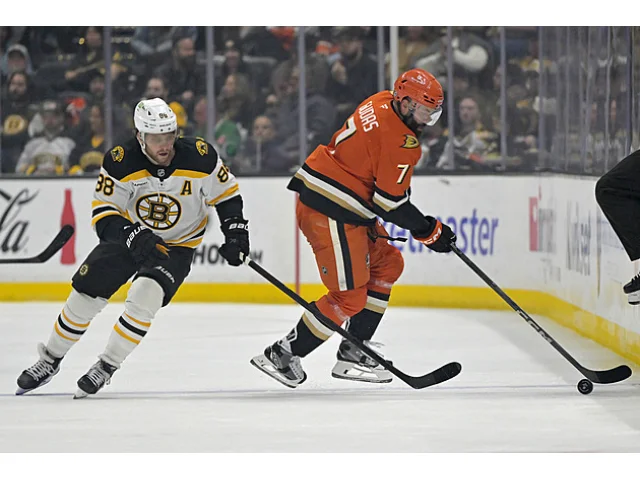 Pastrňák se Zachou nezabránili prohře, bodovali i Hronek s Palátem