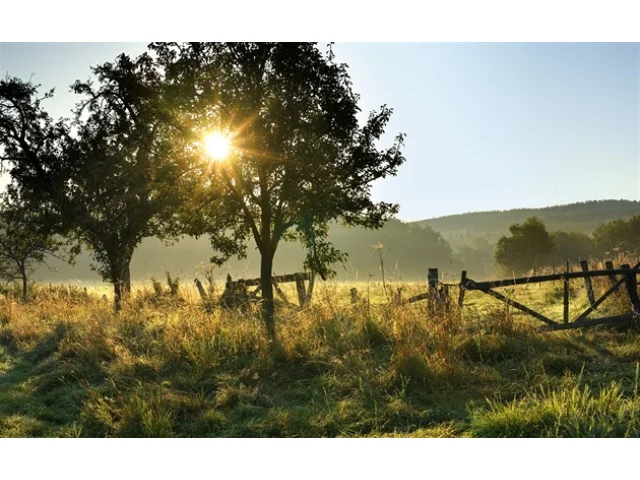 V Česku se během týdne ochladí. O víkendu přijde babí léto s teplotami nad 25 °C