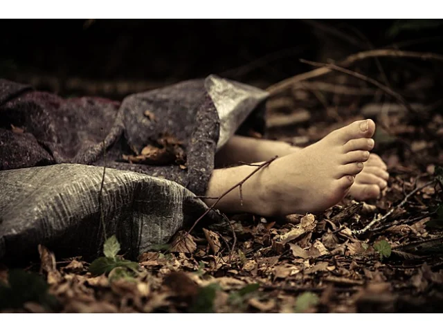 Jediné bodnutí přímo do srdce. Záhadu mrtvé v lese objasnila až další vražda