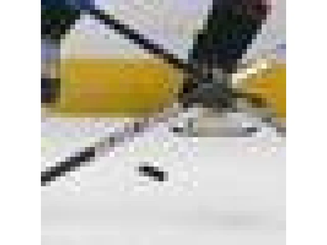 Litoměřice uspěly po třech porážkách a opět vedou první ligu