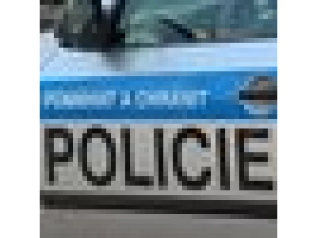 Policie vypátrala nebezpečného schizofrenika, nevrátil se do léčebny v Bohnicích