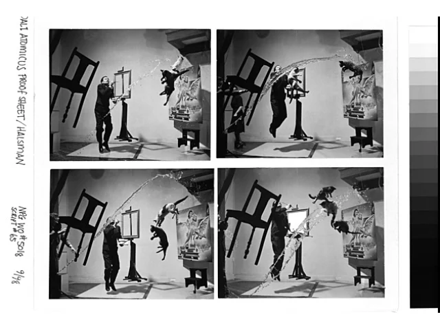 Dalí levitoval, kočky létaly. Ztřeštěnou fotku trefili až na poosmadvacáté