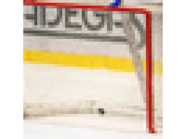 Slavia ve šlágru první hokejové ligy zdolala Litoměřice 5:2 a vede o sedm bodů