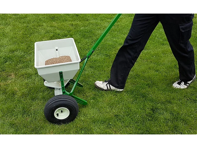 Konec plísním a holým flekům. Odborník radí, jak trávník posílit před zimou