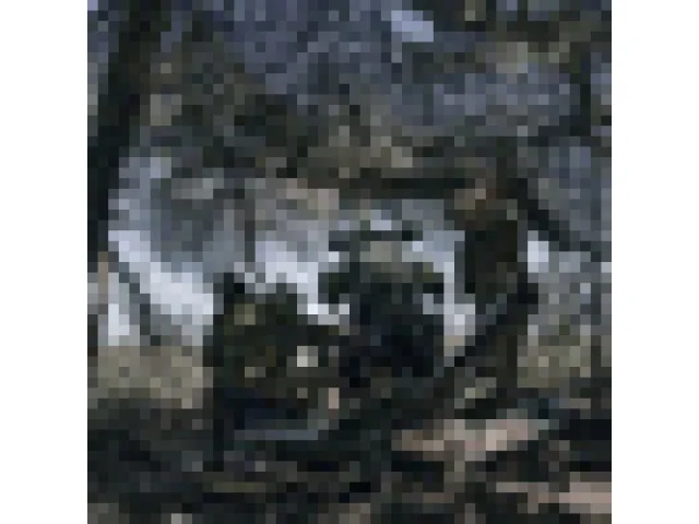 Pro ukončení dodávek zbraní a munice na Ukrajinu jsou shodně dvě pětiny Čechů