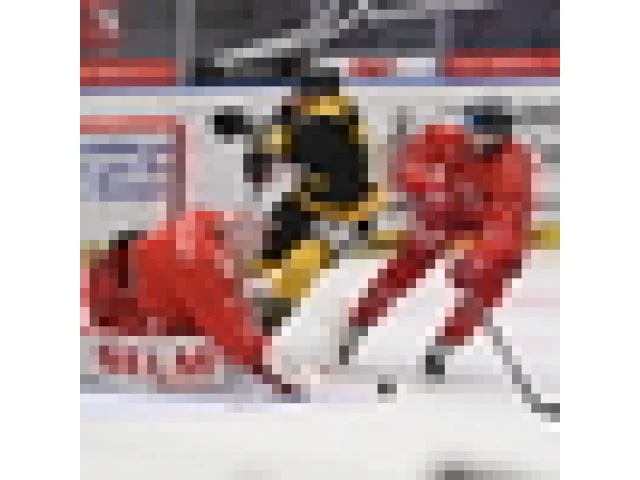 Olomouc otočila zápas proti poslednímu Litvínovu a je čtvrtá