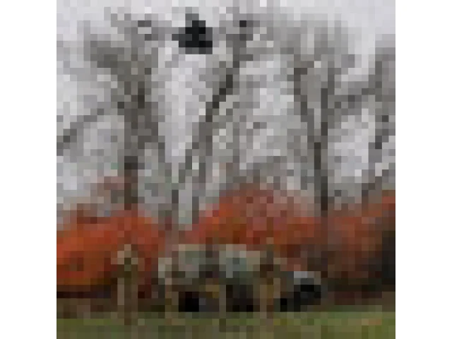 Rusko v noci vyslalo na Ukrajinu 176 dronů; Moskva jich z Ukrajiny hlásí 57