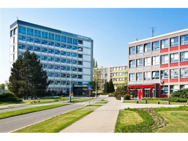 Kdo se uchází o post rektora na ČZU? Manažer, sociolog či expert na pěstování lesa