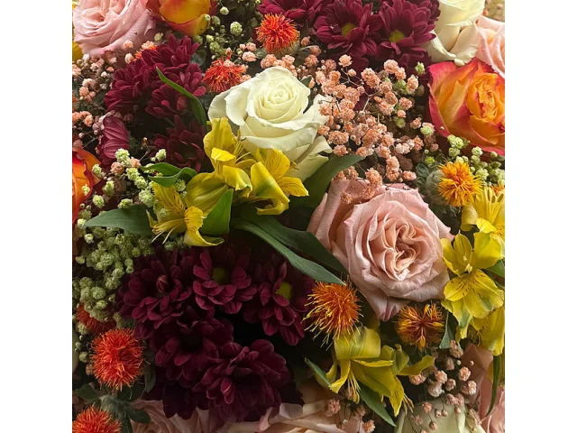 Krystyna Pyszková: Pravda vyšla najevo! Jak to bylo s porodem Miss World?