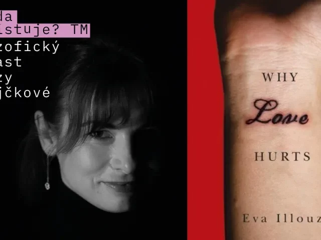 Institucionalizované odmilování: Co o nás vypovídají rozvody