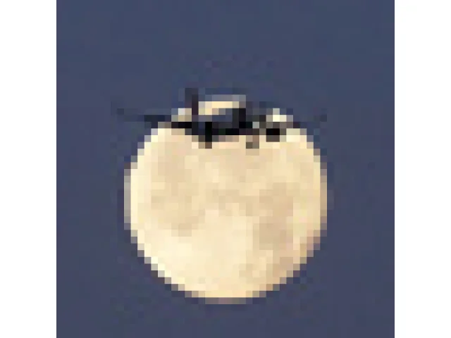 Provoz dopravních letadel Airbus A320 se po výměně softwaru vrací do normálu