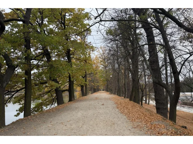 POČASÍ: Nejdřív sluníčko, pak mraky, mlhy, déšť. První listopadový víkend přinese typické podzimní počasí