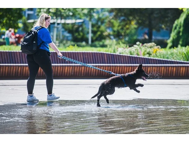 RADAR: Ve středu dorazí déšť a ochlazení. O víkendu mohou přijít bouřky