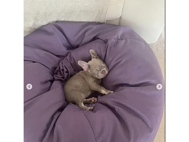 Rey Koranteng se dojal: V rodině přivítali miminko, fanoušci gratulují