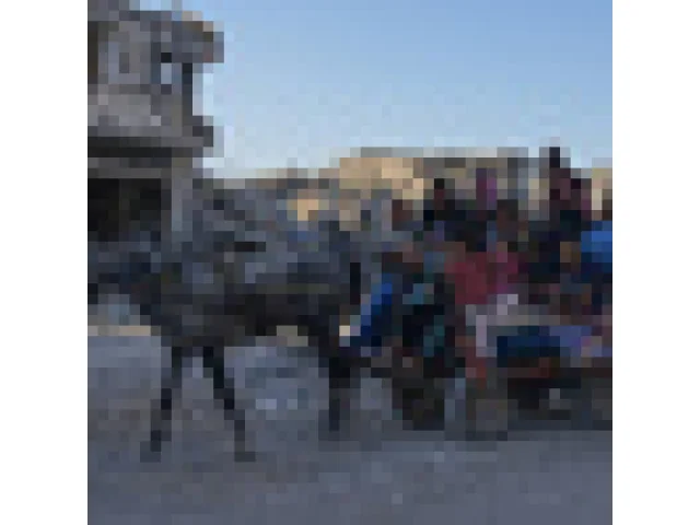 AP: Palestinci se po začátku příměří vracejí do míst, jež zbyla z jejich domovů