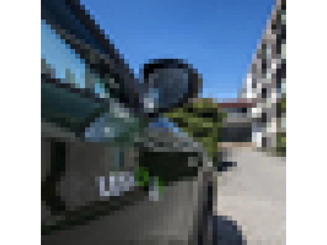 Z loňského zisku Lesů ČR by mělo jít 4,12 miliardy korun státu, navrhl podnik