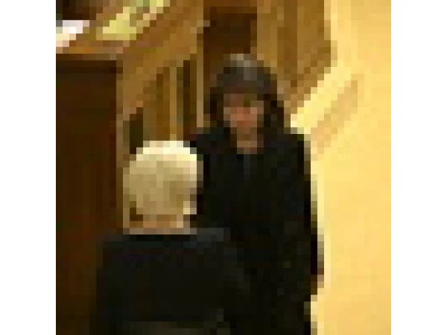 Část sněmovních výborů má zvolené předsedy, mezi nimi Veseckou a R. Vondráčka