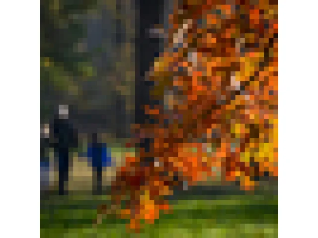 Na severní polokouli s dnešní rovnodenností začíná astronomický podzim