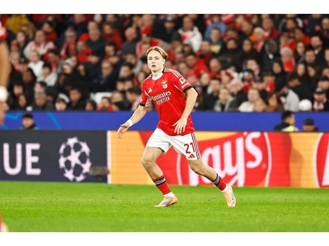 Vězení s roční podmínkou. Norský parťák Haalanda dostal trest za sexuální video