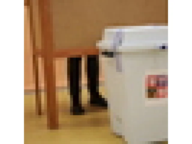 Volby by podle modelu STEM nyní vyhrálo ANO s 29,3 procenta hlasů