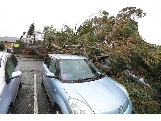 Na Nový Zéland udeřil silný vítr. Tisíce domů jsou bez proudu, ruší se lety