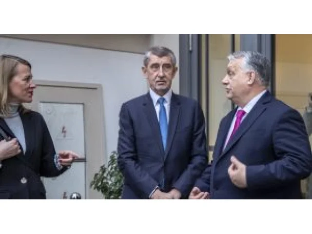 Alkohol pro Zemana a Orbánovi lidé v hnutí ANO. Co je nového na ose Budapešť – Agrofert