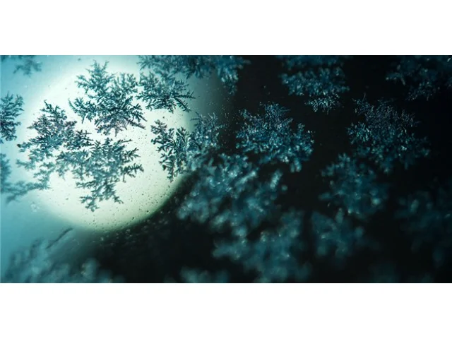 Vločka sněhu velká jako XL pizza. Sněhový gigant spadl v Montaně, vědci to nevyvrací