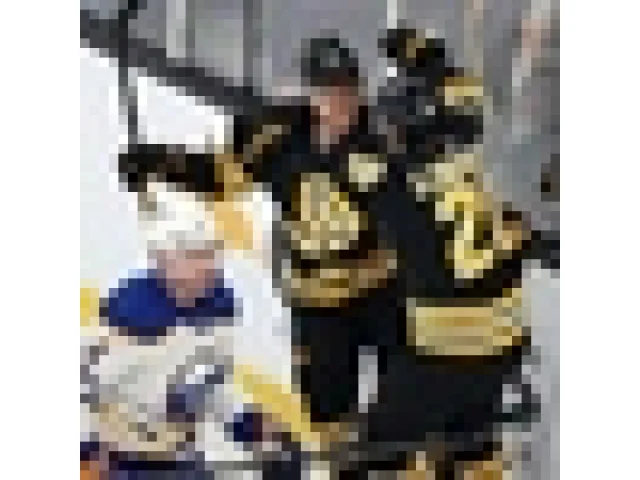 České duo z Bostonu v NHL bodovalo, Vladař vychytal výhru