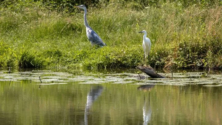 "Vrchnostenský" verdikt. Miliardář od Motoristů napadl ministerstvo, soud byl rychlý