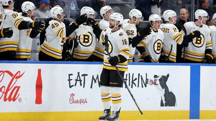 Zacha dal gól, Pastrňák asistoval a Boston má další výhru. Dostál vychytal šampiony