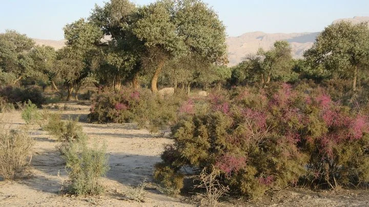 "Úmrtí kvůli vodě přibývá." V Tádžikistánu je jí dostatek, ale pitné jen málo