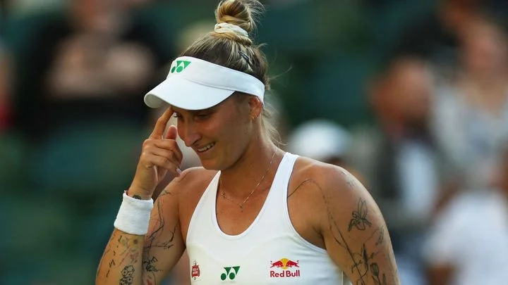 Přestřelka v českém tenise: Plíšková se obula do Vondroušové, ta teď vrací úder