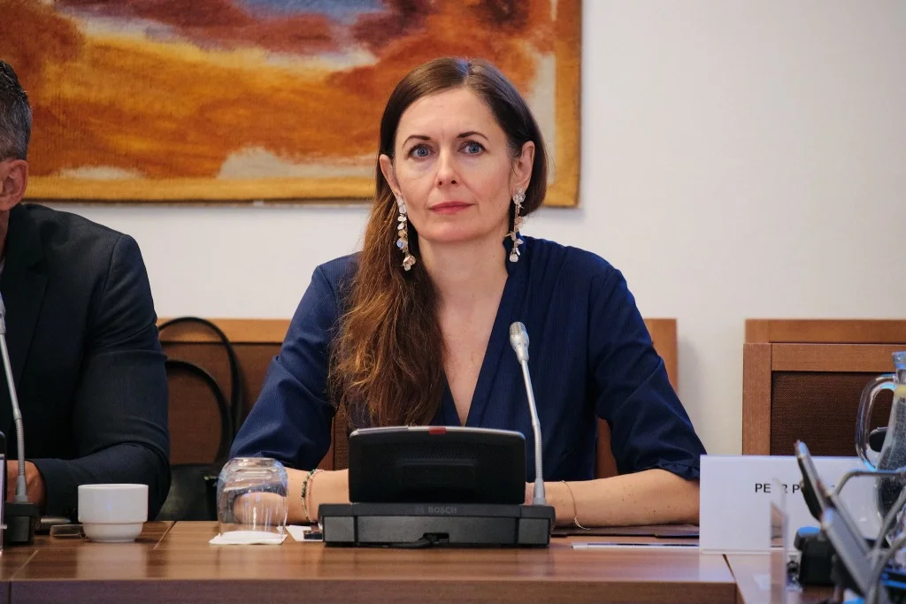 Česko by mohlo mít opět ombudsmanku. Kdo stojí o nominaci?