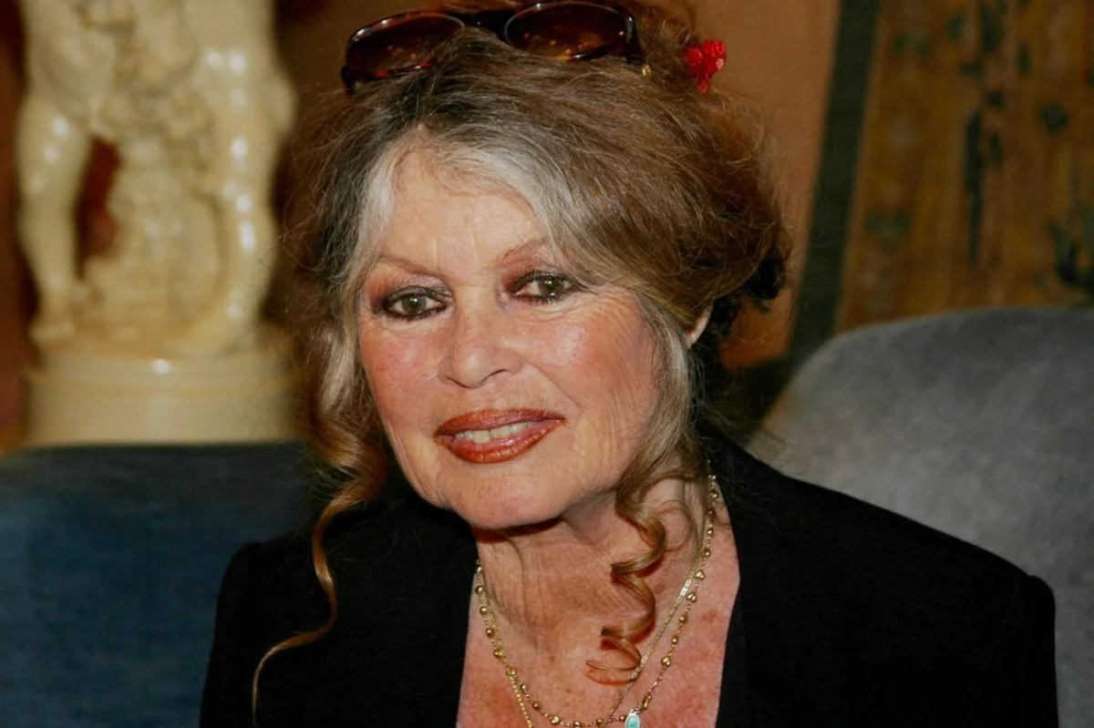 Co se děje s Brigitte Bardot? Herečka o svém zdravotním stavu mlčí, nedávno byla v nemocnici