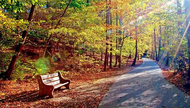 V Česku opět padaly teplotní rekordy. Na Šumavě bylo téměř 15 stupňů