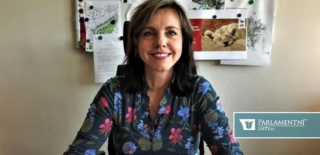 Mádlová (ANO): Můžeme vrátit České republice stabilitu, respekt i směr