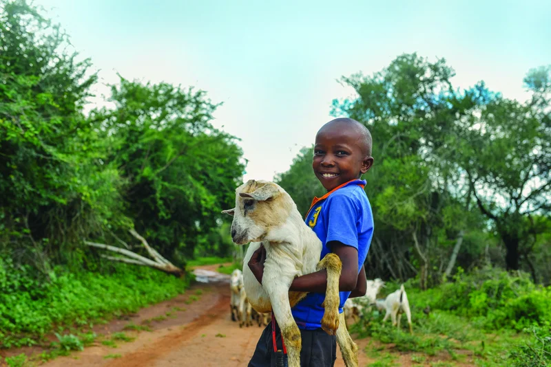 Darovat smysluplně a šetrně; ADRA i letos nabízí dárky, které podpoří lidi v nouzi