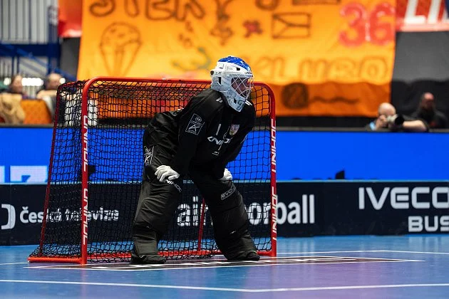 Splněný sen, zářila brankářka Příleská po postupu do finále mistrovství světa