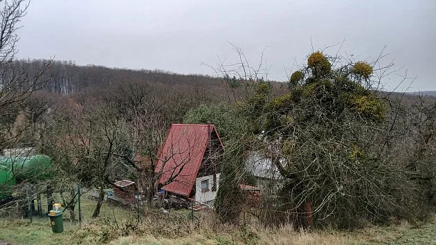 Únos chlapce na Zlínsku: Policie viní muže z pokusu o vraždu