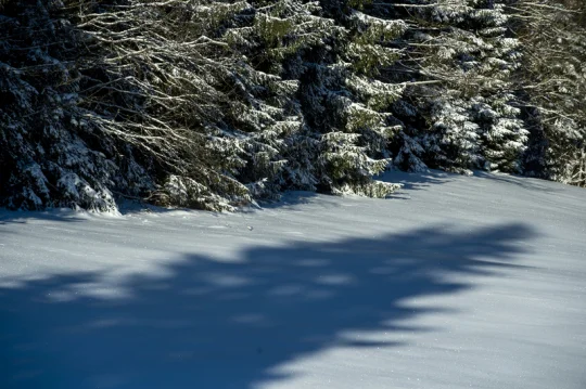V neděli odpoledne začne zimním slunovratem astronomická zima