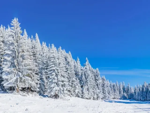 Přichází zimní slunovrat, dny se po nejdelší noci začnou zase prodlužovat