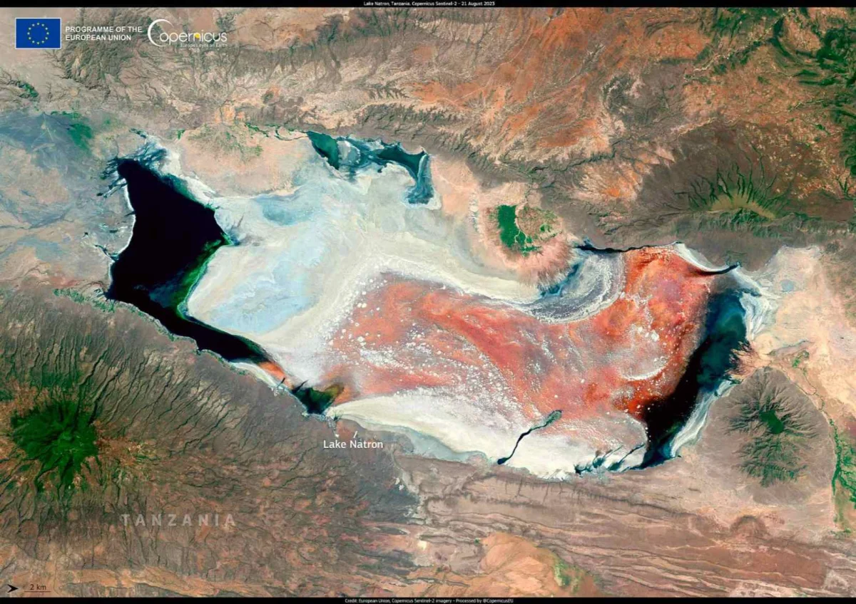 Jezero smrti v Tanzanii mění zvířata v kamenné sochy. Voda tam leptá kůži jako kyselina, pH má jako bělidlo