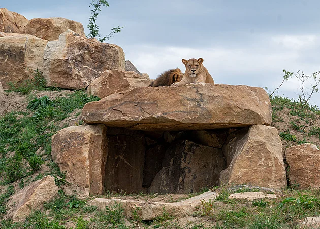 Zlínská zoo pokořila metu 800 tisíc návštěvníků. V budoucnu chce překonat milion